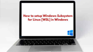 How to setup Windows Subsystem for Linux [WSL] in Windows