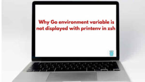 [Solved] Why Go environment variable is not displayed with printenv in zsh?