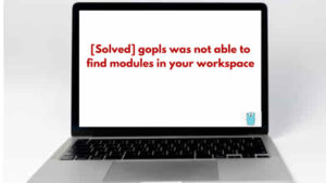 [Solved] gopls was not able to find modules in your workspace